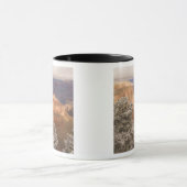 Schilderachtig sneeuwwinterlandschap langs het zui mok (Midden)