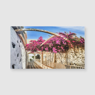 Schilderachtig steegje in Santorini, Griekenland