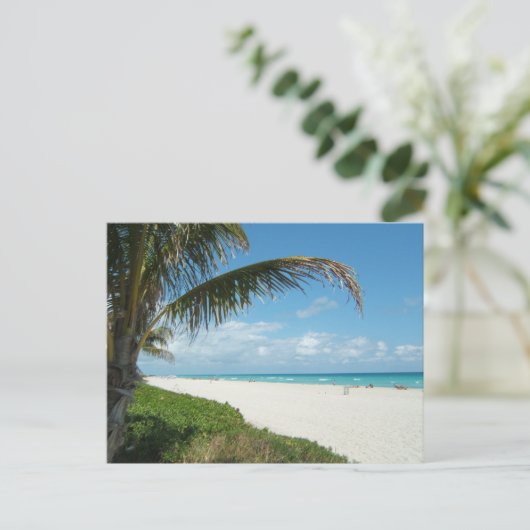 Schilderachtig strand, zijpalmvertakking briefkaart (Staand voorkant)