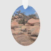 Schilderachtig Texas Enchanted Rock State Natural Ornament (voorkant)