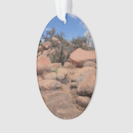 Schilderachtig Texas Enchanted Rock State Natural Ornament (voorkant)