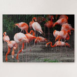 Schilderachtig tropisch landschap Flamingo Jigzaag Legpuzzel