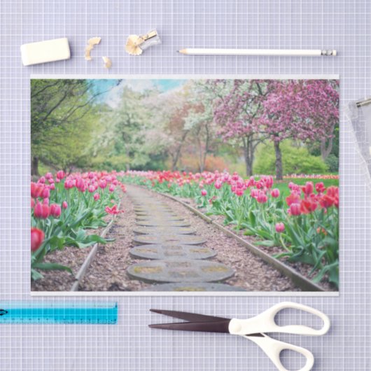 Schilderachtig Tulp Padweefselpapier Tissuepapier (Craft)