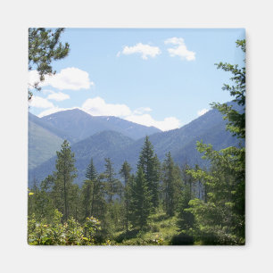 Schilderachtig Uitzicht Montana Forest en Mountain Magneet
