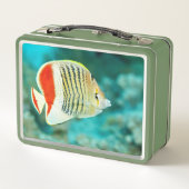 Schilderachtig Uitzicht onderwater vis in het Rode (Achterkant)