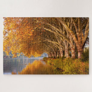 Schilderachtig uitzicht van de herfstgolden bomen legpuzzel
