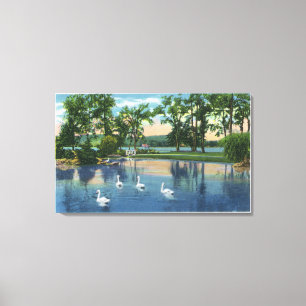 Schilderachtig Uitzicht van Zwans op het meer Canvas Afdruk