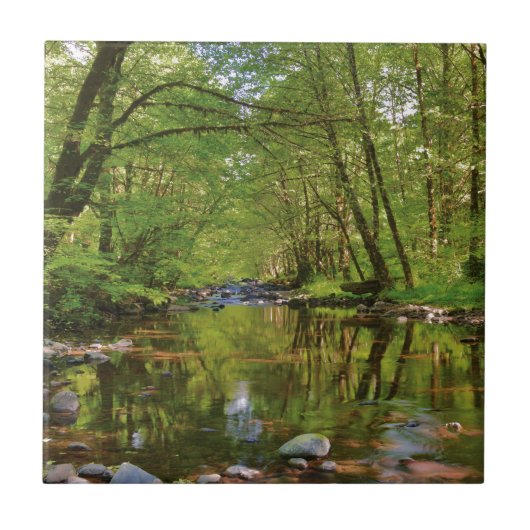 Schilderachtig van Wilson River Tegeltje (Voorkant)