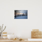 Schilderachtig winterbomen poster (Keuken)