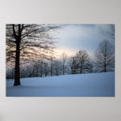 Schilderachtig winterbomen poster (Voorkant)