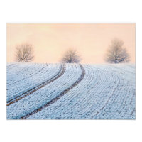 Schilderachtig winterlandschap Trees Hoarfrost Pap