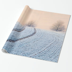 Schilderachtig winterlandschapsbomen met Hoarfrost Cadeaupapier