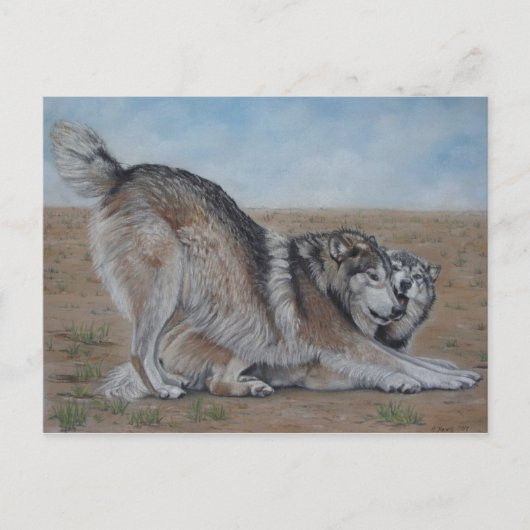 schilderachtig wolf - realist dierkunst briefkaart (Voorkant)