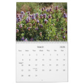 Schilderachtig Zuid-Nevada 2008 Kalender (Mar 2026)