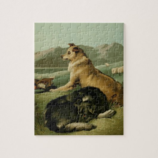 schilderen: Collie Dogs Legpuzzel (Verticaal)