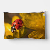 Schilderen Etui (Achterkant)