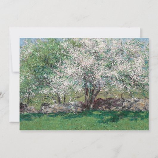 Schilderen van appelbomen met witte bloesems kaart (Achterkant)