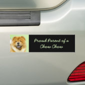 Schilderen van de KNOOPPROGRAMMA'S - Kute Original Bumpersticker (Op auto)