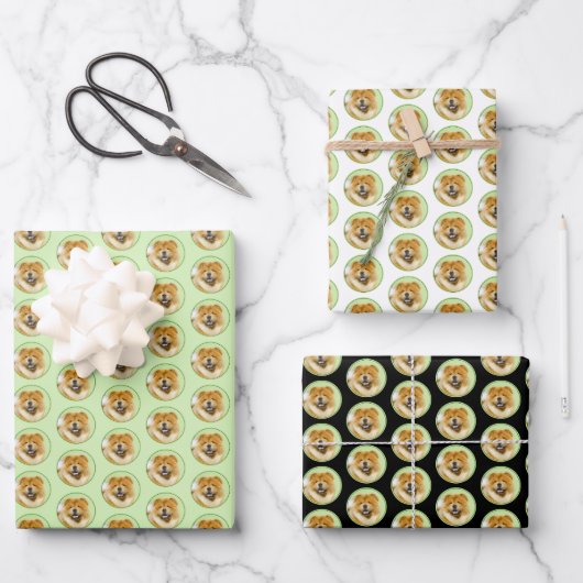 Schilderen van de KNOOPPROGRAMMA'S - Kute Original Inpakpapier Vel (Voorkant)