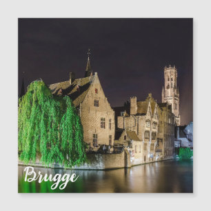 Schilderen van de oude stad Brugge en de toren van