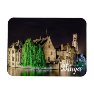 Schilderen van de oude stad Brugge en de toren van Magneet