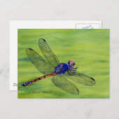 Schilderen van de waterverf van Dragonfly Briefkaart (Voorkant / Achterkant)