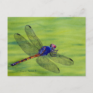 Schilderen van de waterverf van Dragonfly Briefkaart