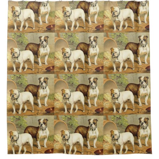  schilderen van Engelse Bulldogs Douchegordijn (Voorkant)