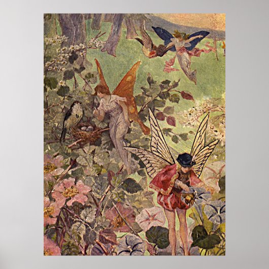 schilderen van fairies en bloemen poster (Voorkant)