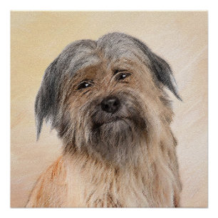 Schilderen van kuddes van Pyrenean - Kute Original Perfect Poster