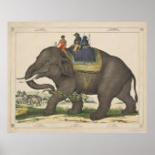 schilderen van Mannen Riding van een olifant Poster (Voorkant)