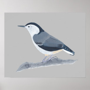 Schilderen van Nuthatch Bird op Wall Posters