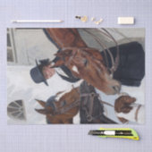 schilderen van vrouwelijke paarden tissuepapier (Craft)