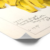 Schilderen van Waterverf van bananen (Musa) Poster (Hoek)