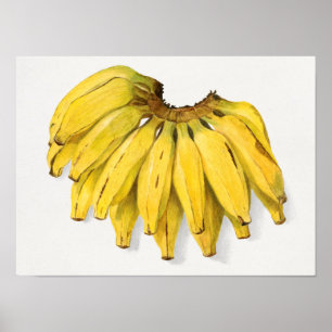 schilderen van Waterverf van bananen Poster