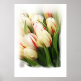 schilderij "Tulps" op doek Poster