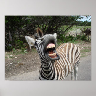 schilderij van de gelukkige zebra poster