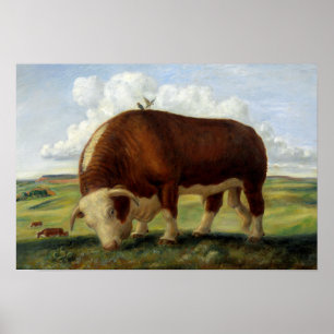 schilderij van een Hereford stier Poster