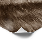 schilderij van grijze wolf perfect poster (Hoek)