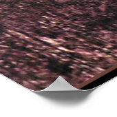 Schilderij van Gustav Klimt, Dame met bontmuts en  Poster (Hoek)