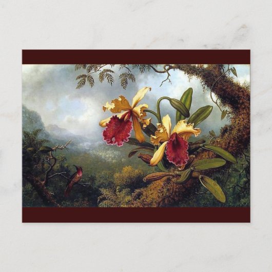 schilderij van Hummingbird Orchids Briefkaart (Voorkant)