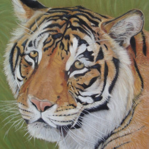 schilderij van tijger met droevige ogen grote kat legpuzzel