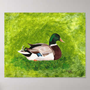 Schilderij van wilde eend zittend in gras Posters