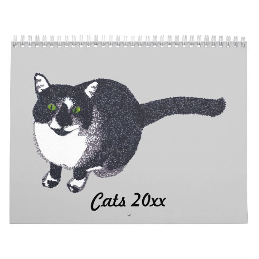 Schilderijen Kunstwerk van de Kalender van Katten (Hoes)