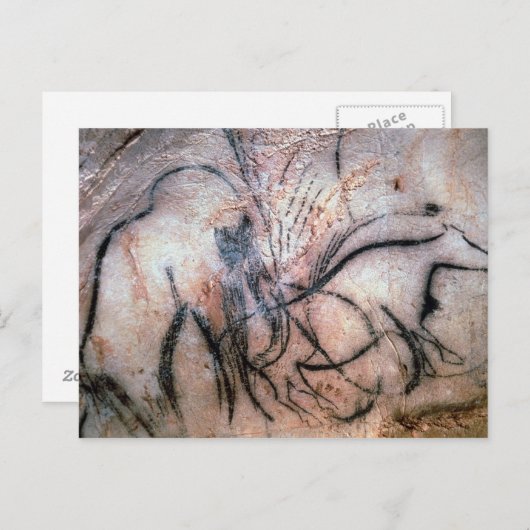 schilderijen voor het schilderen van zoogdieren en briefkaart (Voorkant / Achterkant)