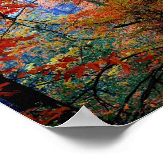 Schilderwand in de herfst van het bos poster (Hoek)