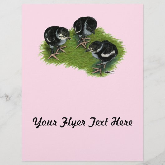 Schildkippen Flyer (Voorkant)