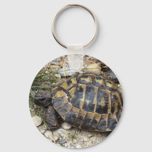 Schildkröte Sleutelhanger (Voorkant)