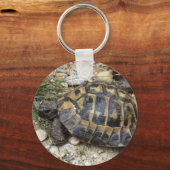 Schildkröte Sleutelhanger (Voorkant)