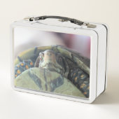 Schildpad (Achterkant)